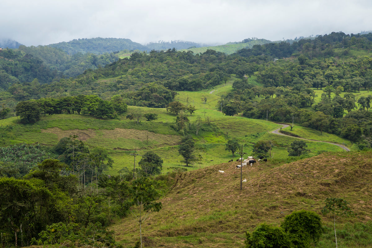 GeoSense: Regularização de Imóvel Rural - Drone e GNSS RTK (Belo Horizonte/MG)