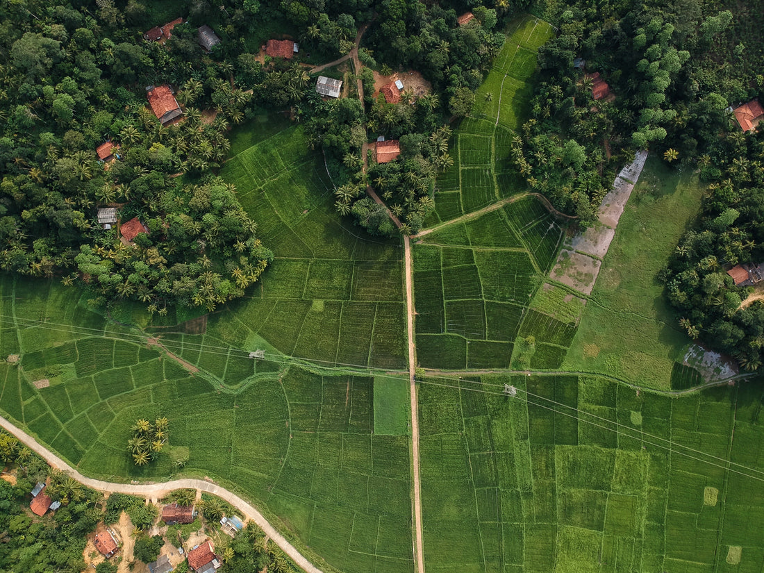 Drones X Satélites: Qual é a Melhor Opção Para o Meu Projeto?