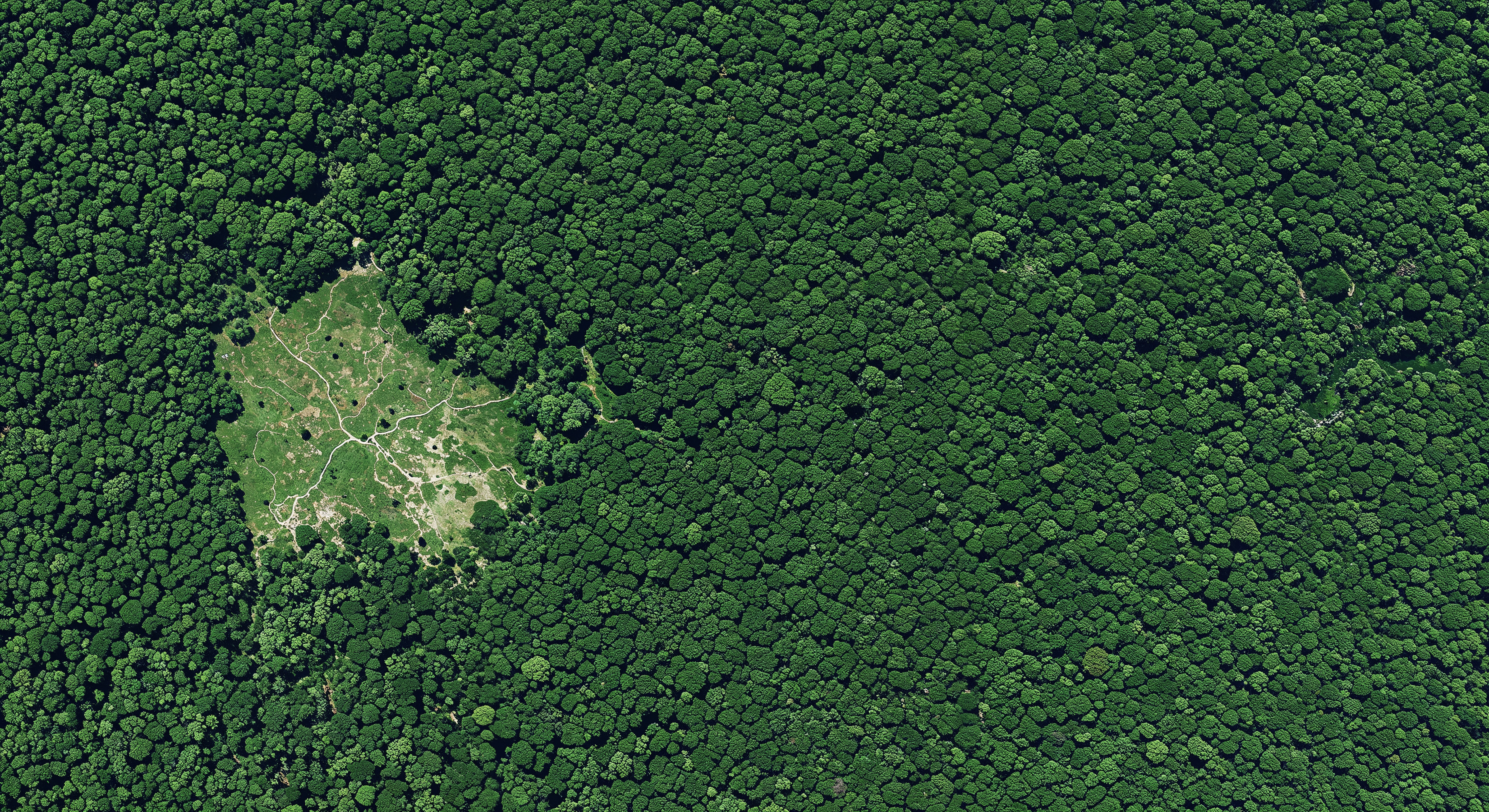 NDVI-o-que-para-que-serve-e-como-calcular