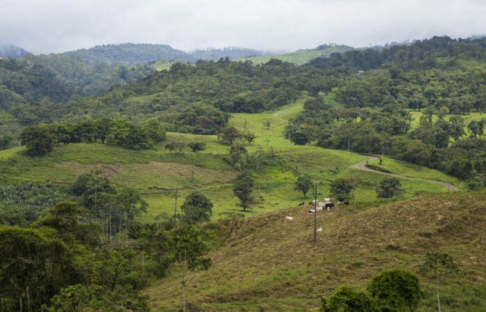 GeoSense-Topografia-Com-Drone-e-GNSS-RTK-Belo-Horizonte-MG-Imovel-Rural